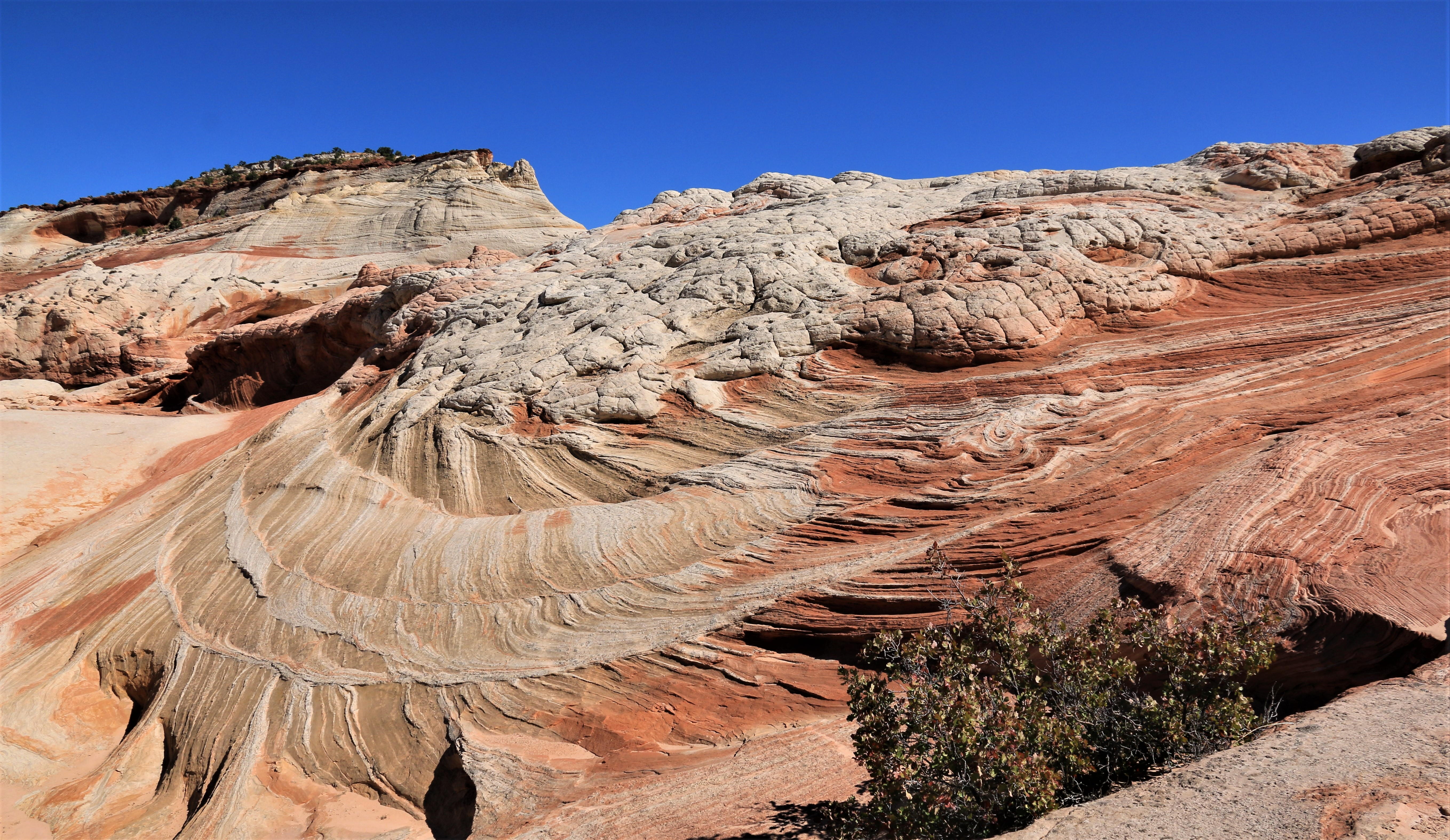 Vermillion Cliffs NM